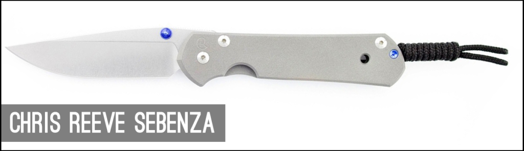 Chris Reeve Sebenza